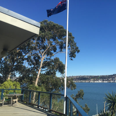 Deluxe Exterior Flag Pole Parapet Mounted