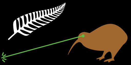 Lazer Kiwi Flag
